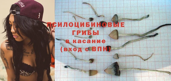 первитин Алексеевка