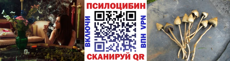 цены   Плавск  Псилоцибиновые грибы Cubensis 
